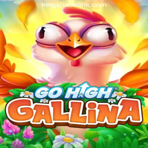 Discover the Thrilling World of GoHighGallina